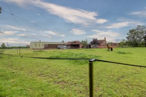 Paddock- click for photo gallery